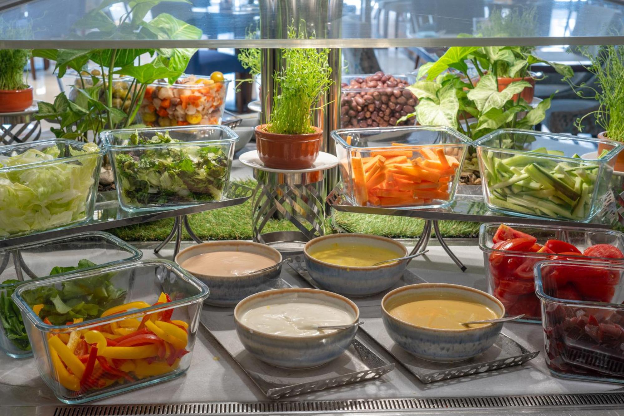 فندق تريامف لاكشري القاهرة المظهر الخارجي الصورة A salad bar